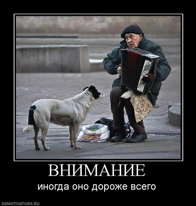 Внимание