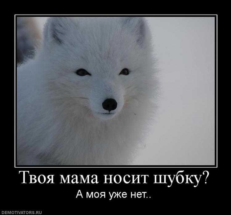 Твоя мама носит шубку?